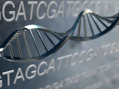 complete genomics,illumina和life technologies正在角逐基因组测序